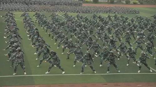 最新军训爆料新闻视频,揭秘严酷训练背后的青春故事